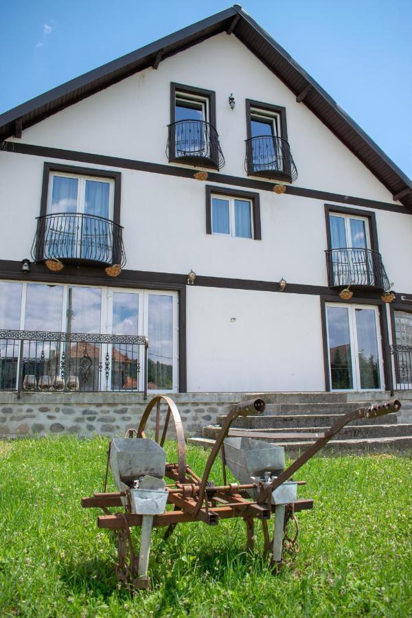 Casa Nevada Hotel Árgyasudvarhely Kültér fotó
